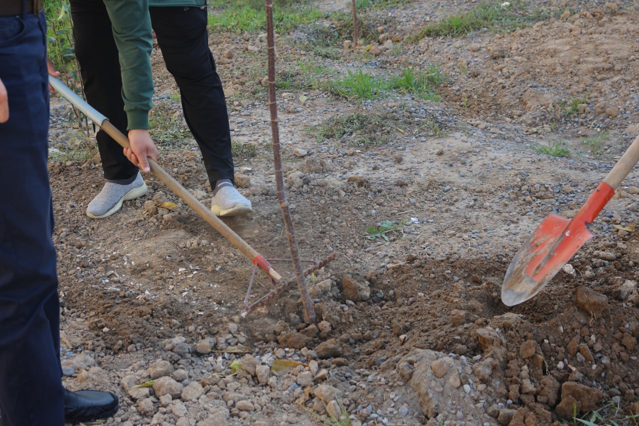 Read more about the article “Obod va fayzli mahalla — yurt ko‘rki” shiori ostida umumxalq xayriya hashari o‘tkazildi